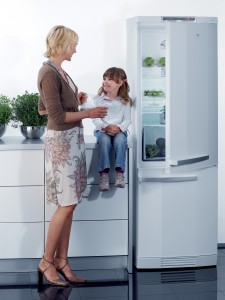 Refrigerator repair in Glendale_Refrigerator repair_lg_ge_refrigerator_repair